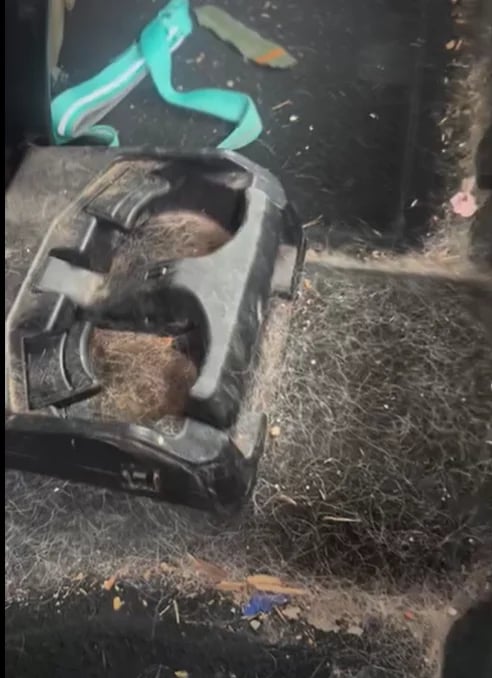Turquoise blue shoe resting on weathered shoe sole with straw and debris on dark ground